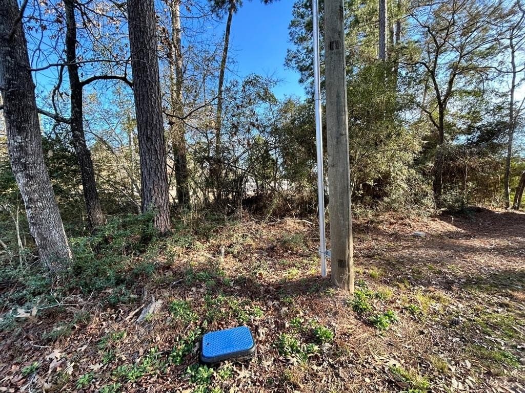 0.09 acres in Trinity County - photo 20