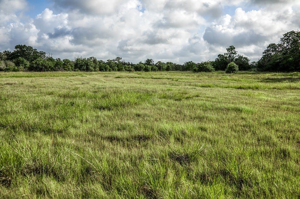 10.6 acres in Fayette County - photo 16