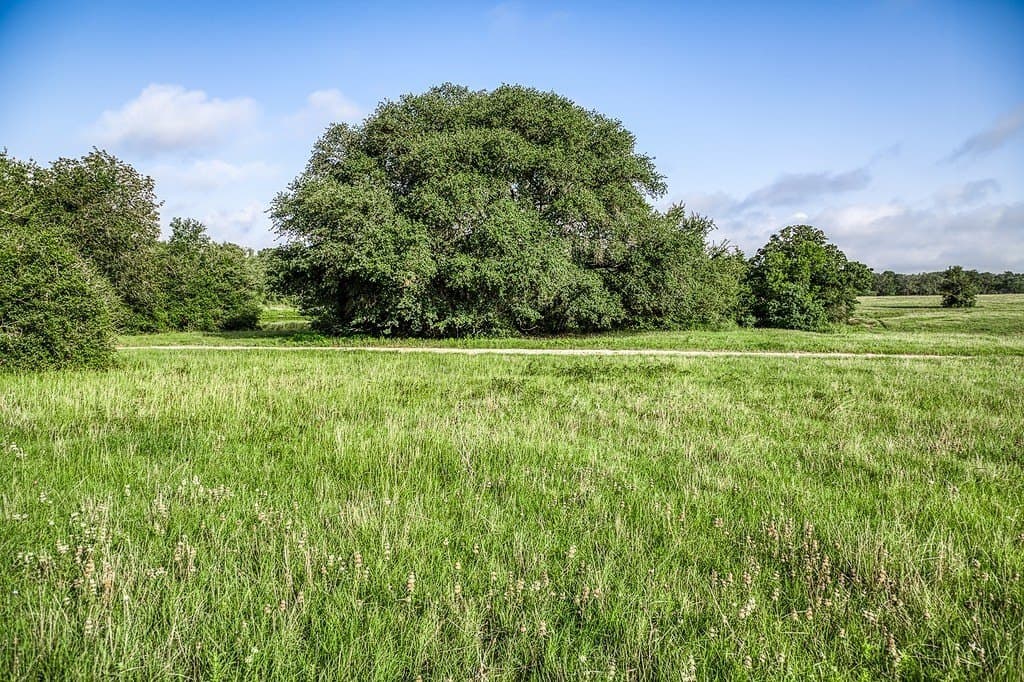 10.6 acres in Fayette County - photo 4
