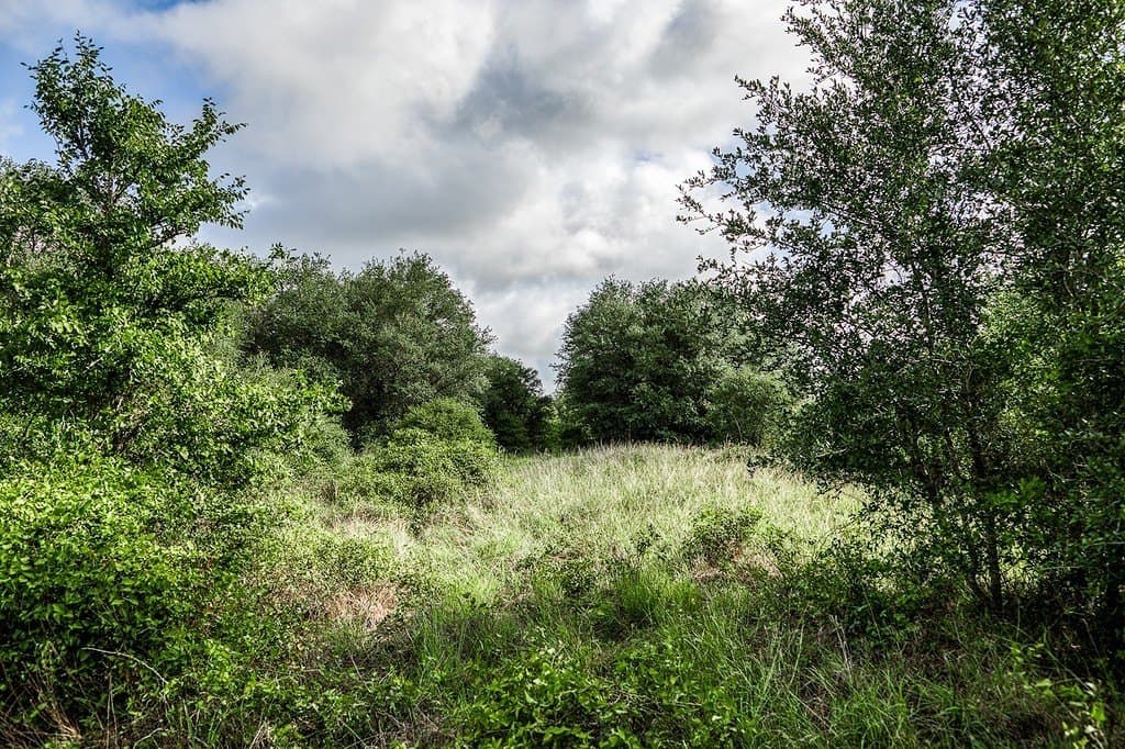 10.6 acres in Fayette County - photo 15