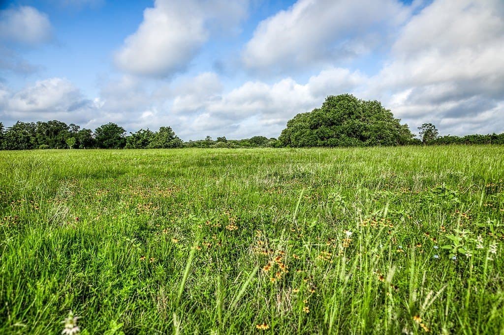 10.6 acres in Fayette County - photo 11