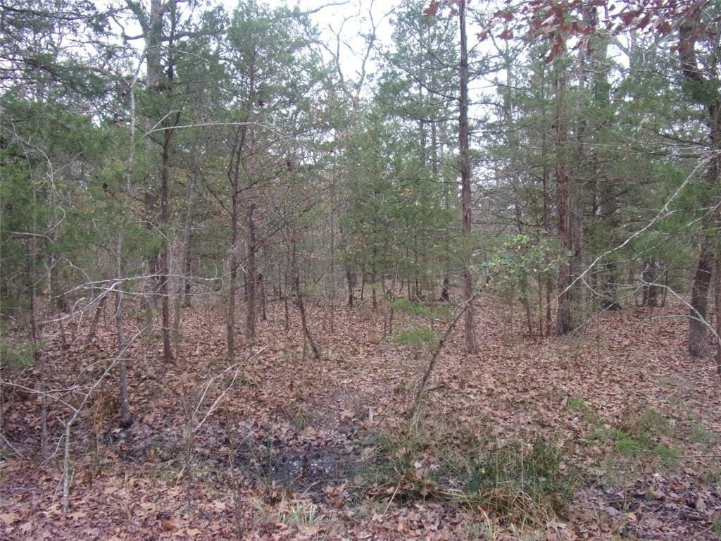 0.24 acres in Van Zandt County - photo 4