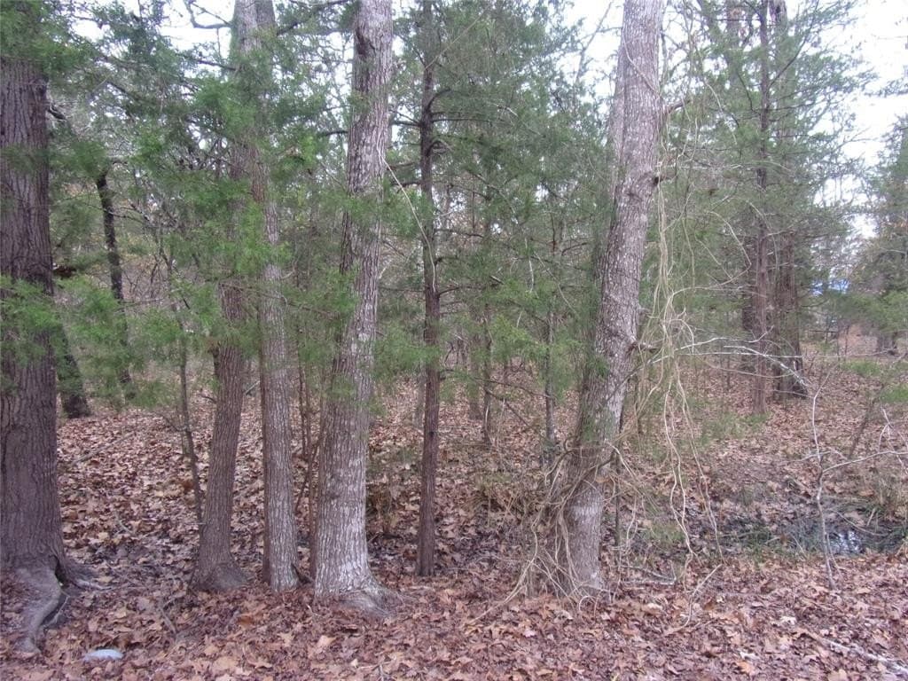 0.24 acres in Van Zandt County - photo 3