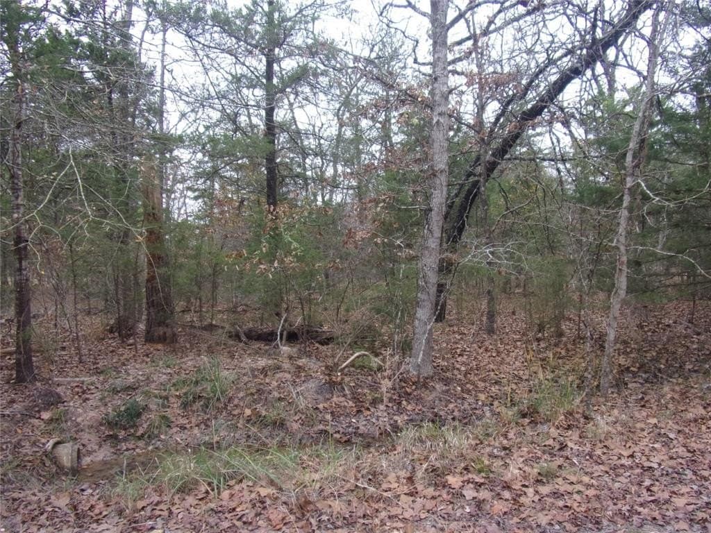 0.24 acres in Van Zandt County - photo 2