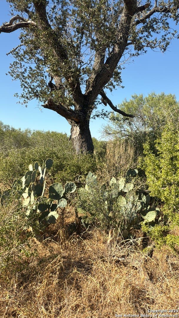 20.21 acres in Frio County - photo 10