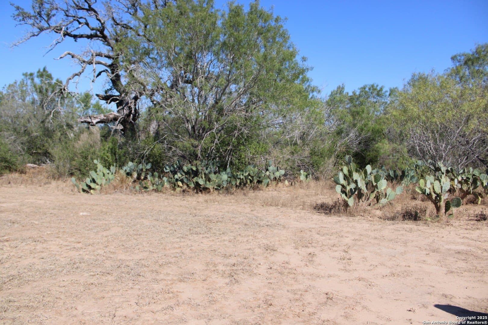 20.21 acres in Frio County - photo 15
