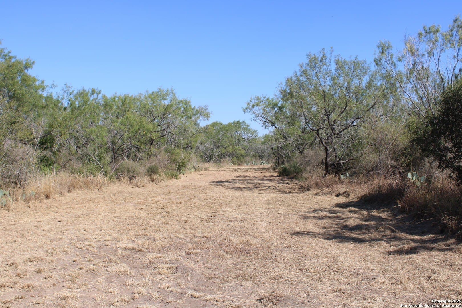 20.21 acres in Frio County - photo 26