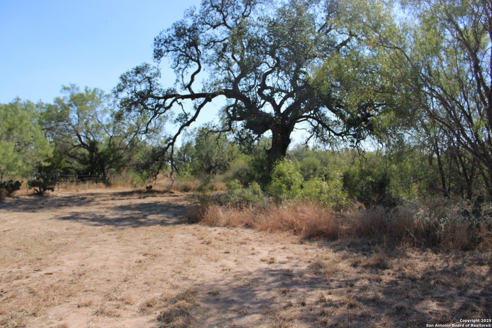 20.21 acres in Frio County - photo 11