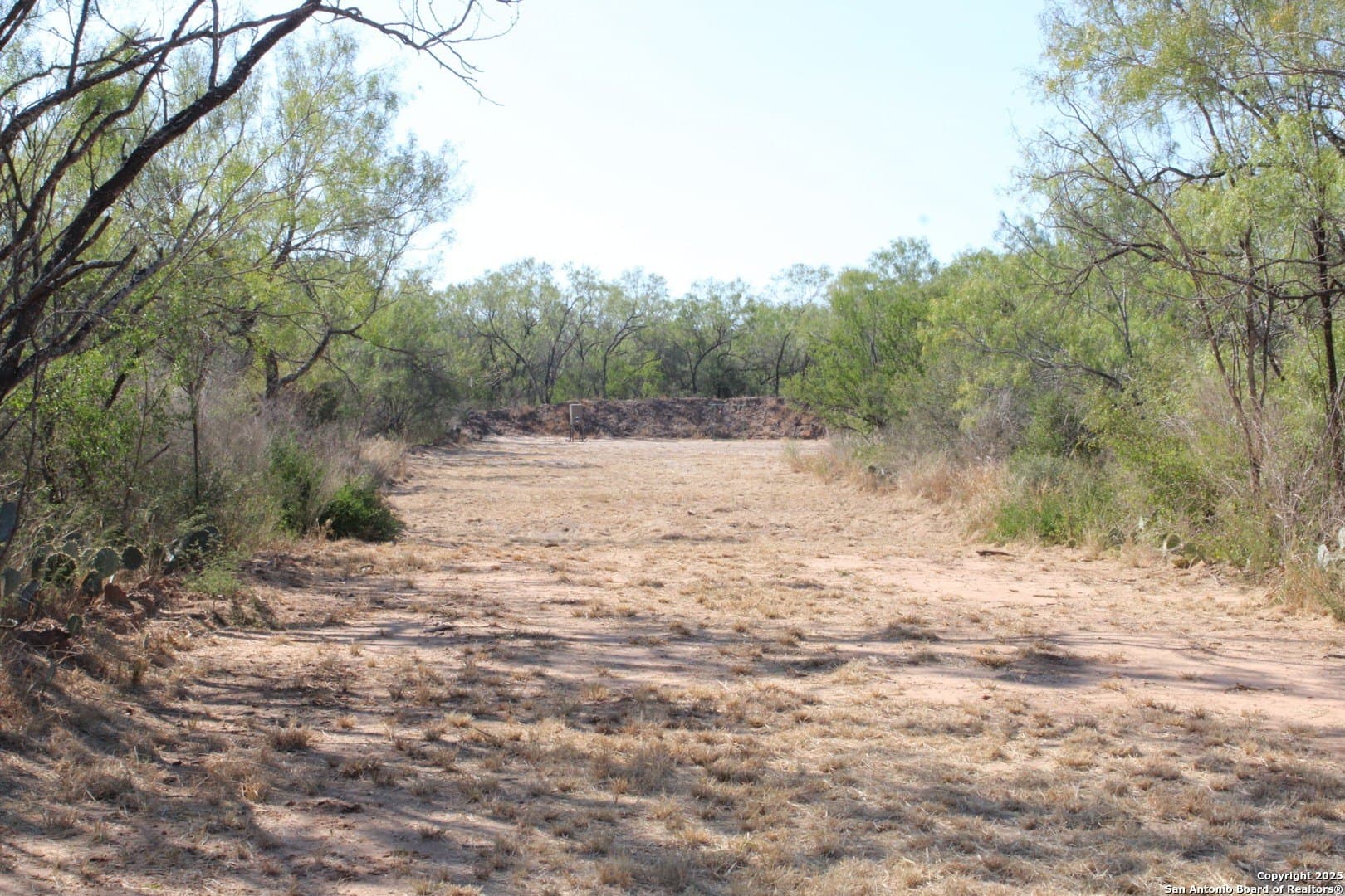 20.21 acres in Frio County - photo 21