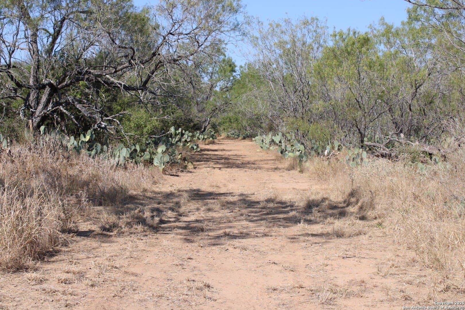 20.21 acres in Frio County - photo 20