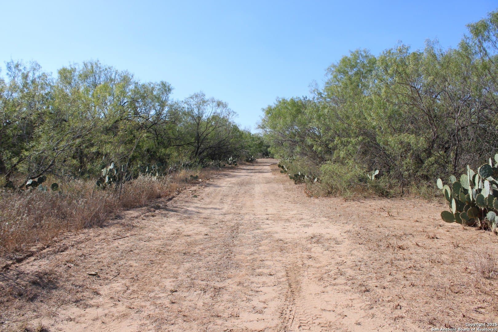 20.21 acres in Frio County - photo 27