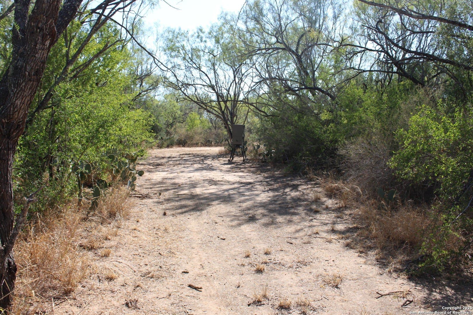 20.21 acres in Frio County - photo 18