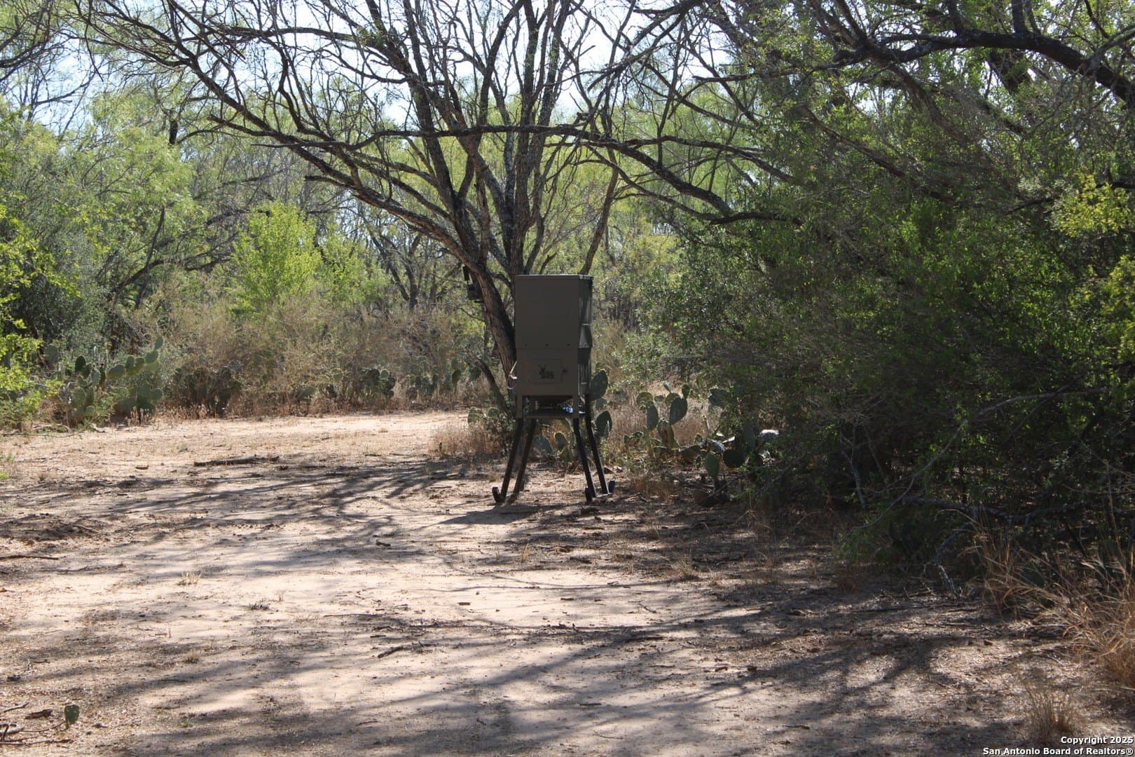 20.21 acres in Frio County - photo 19