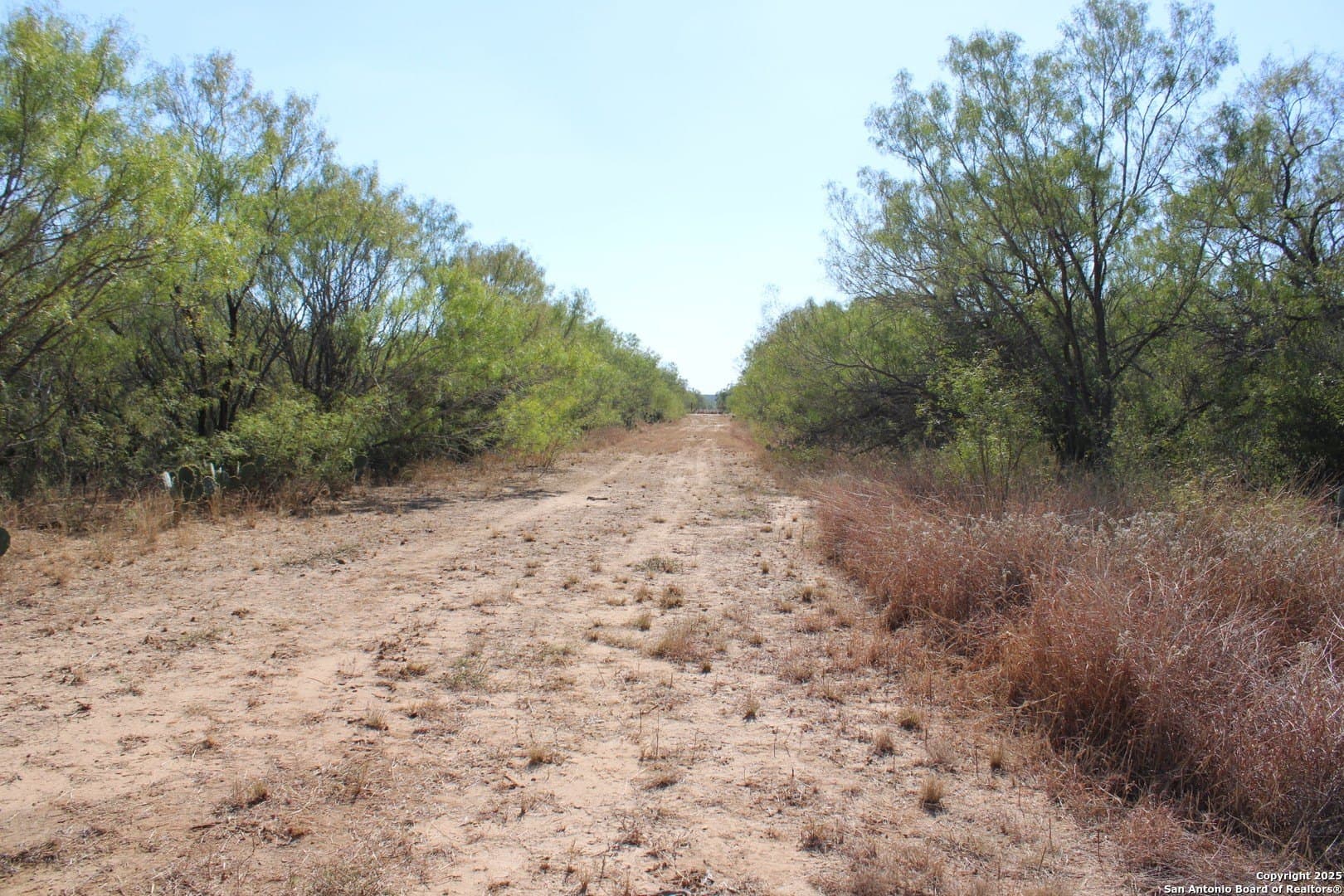 20.21 acres in Frio County - photo 28