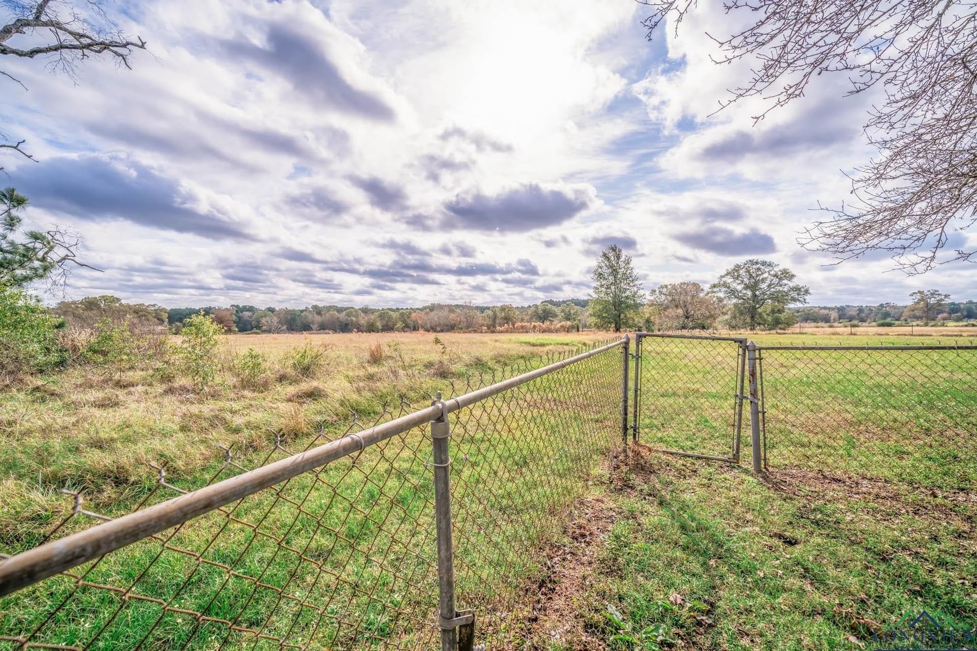 57 acres in Harrison County - photo 22