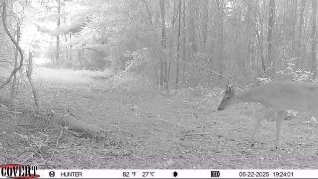 17.7 acres in Smith County - photo 10