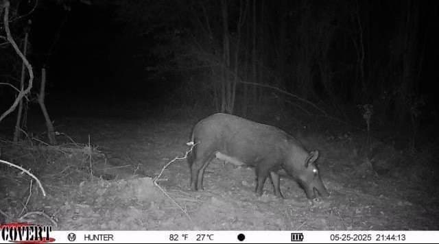 17.7 acres in Smith County - photo 14