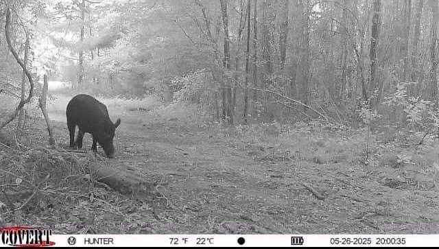 17.7 acres in Smith County - photo 16