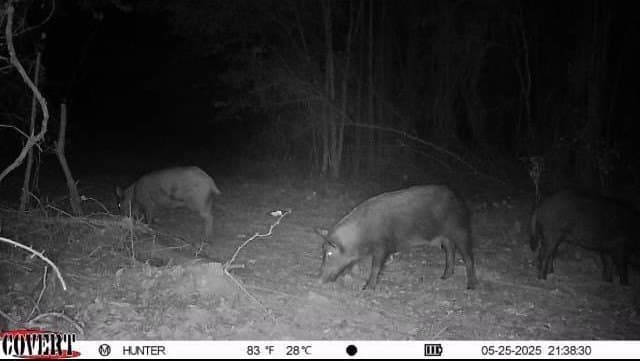 17.7 acres in Smith County - photo 12