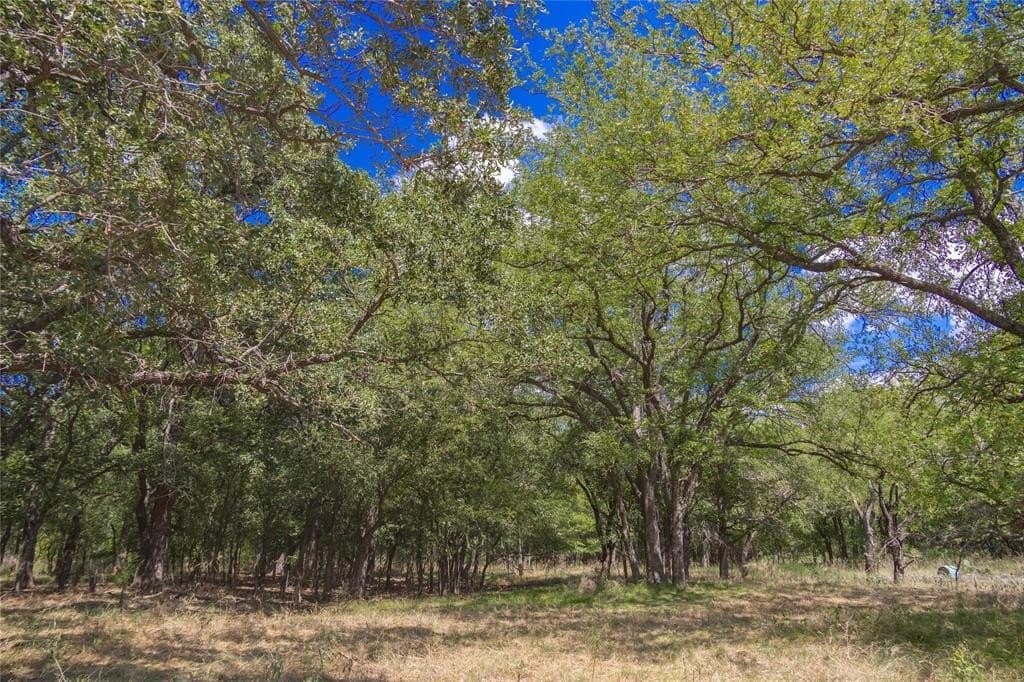 34.69 acres in Comanche County - photo 4