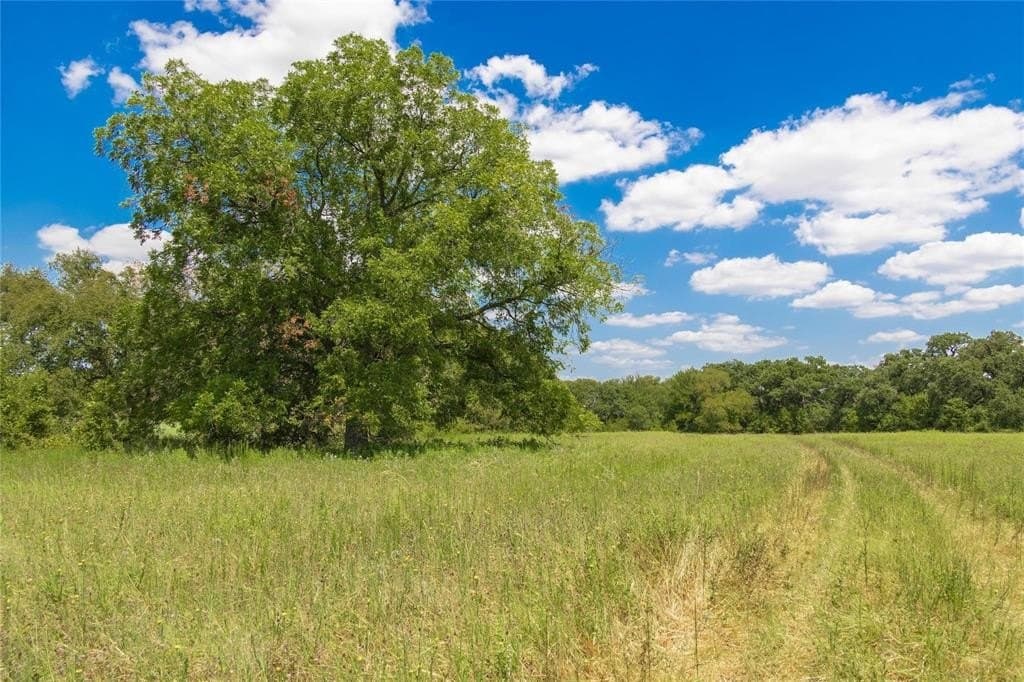 34.69 acres in Comanche County - photo 7