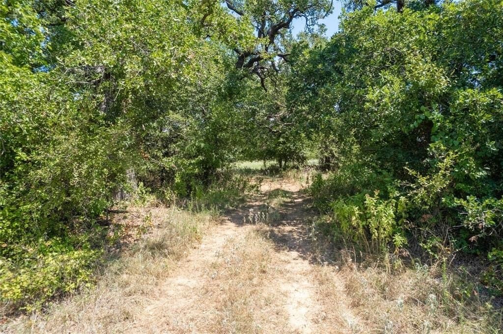 34.69 acres in Comanche County - photo 3