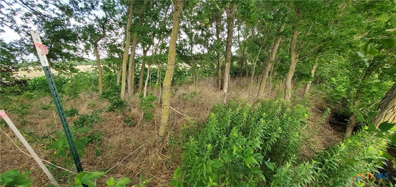 5.84 acres in Bell County - photo 5