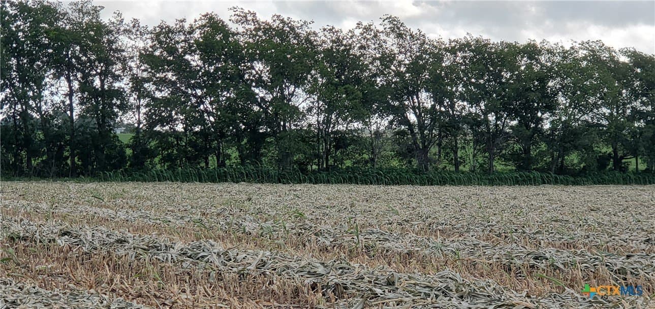 5.84 acres in Bell County - photo 6