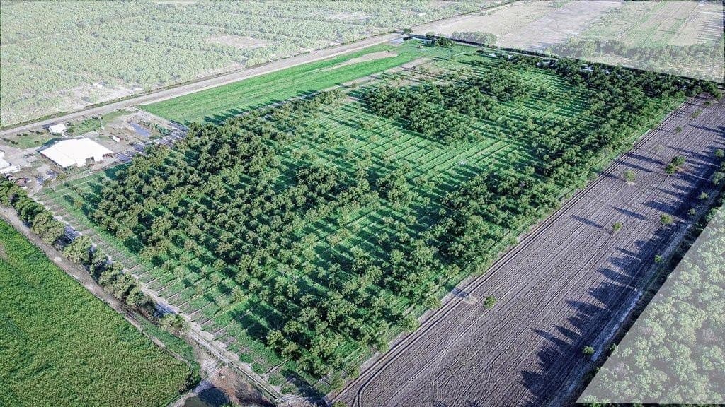 13.13 acres in Maverick County - photo 8