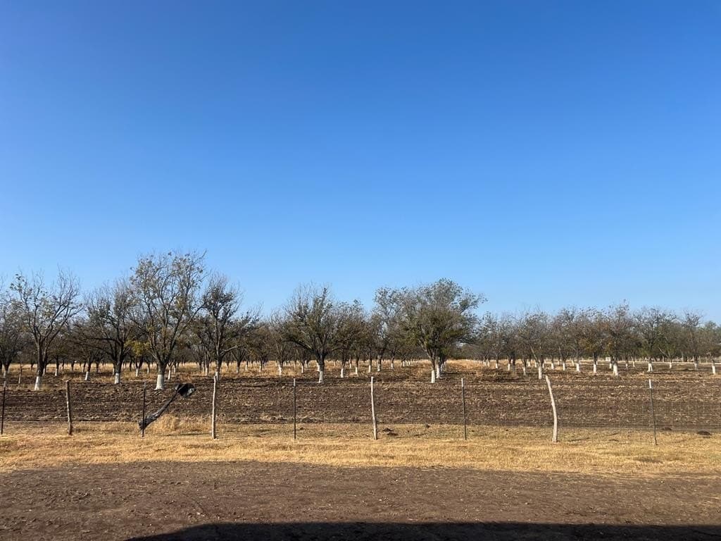 13.13 acres in Maverick County - photo 2