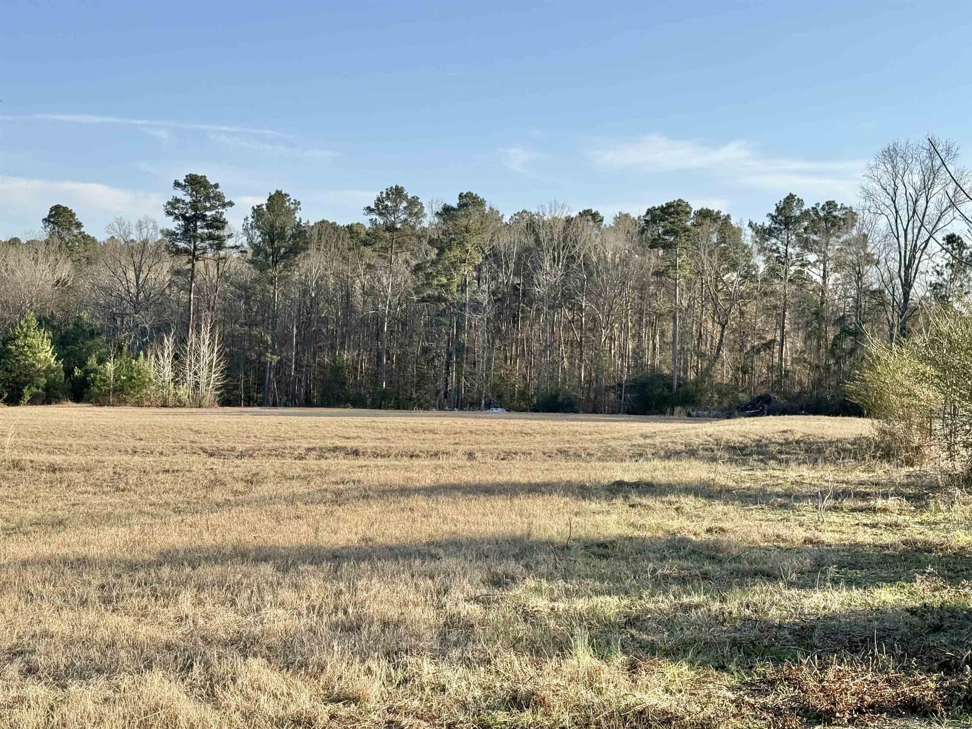 35.18 acres in Marion County - photo 3