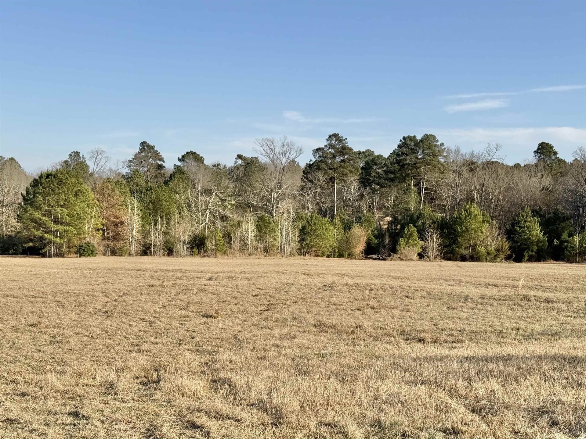 35.18 acres in Marion County - photo 4