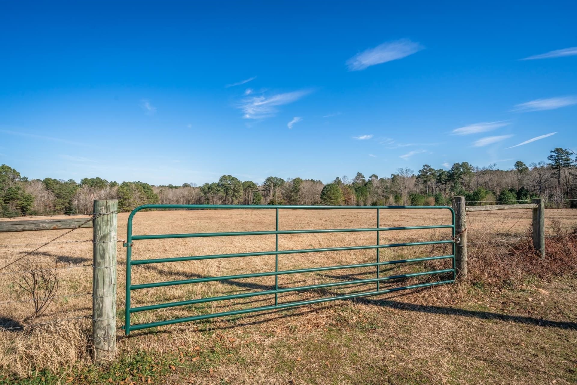 35.18 acres in Marion County - photo 7
