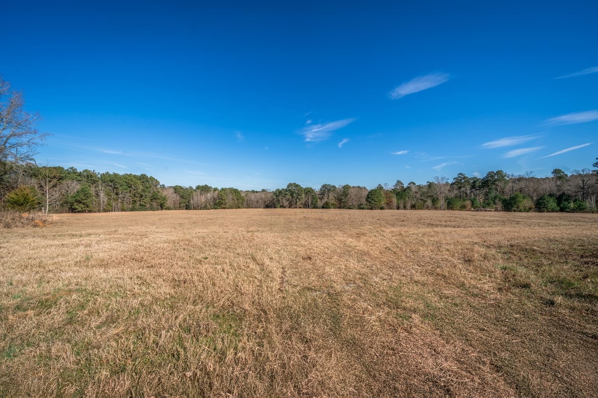 35.18 acres in Marion County - photo 8