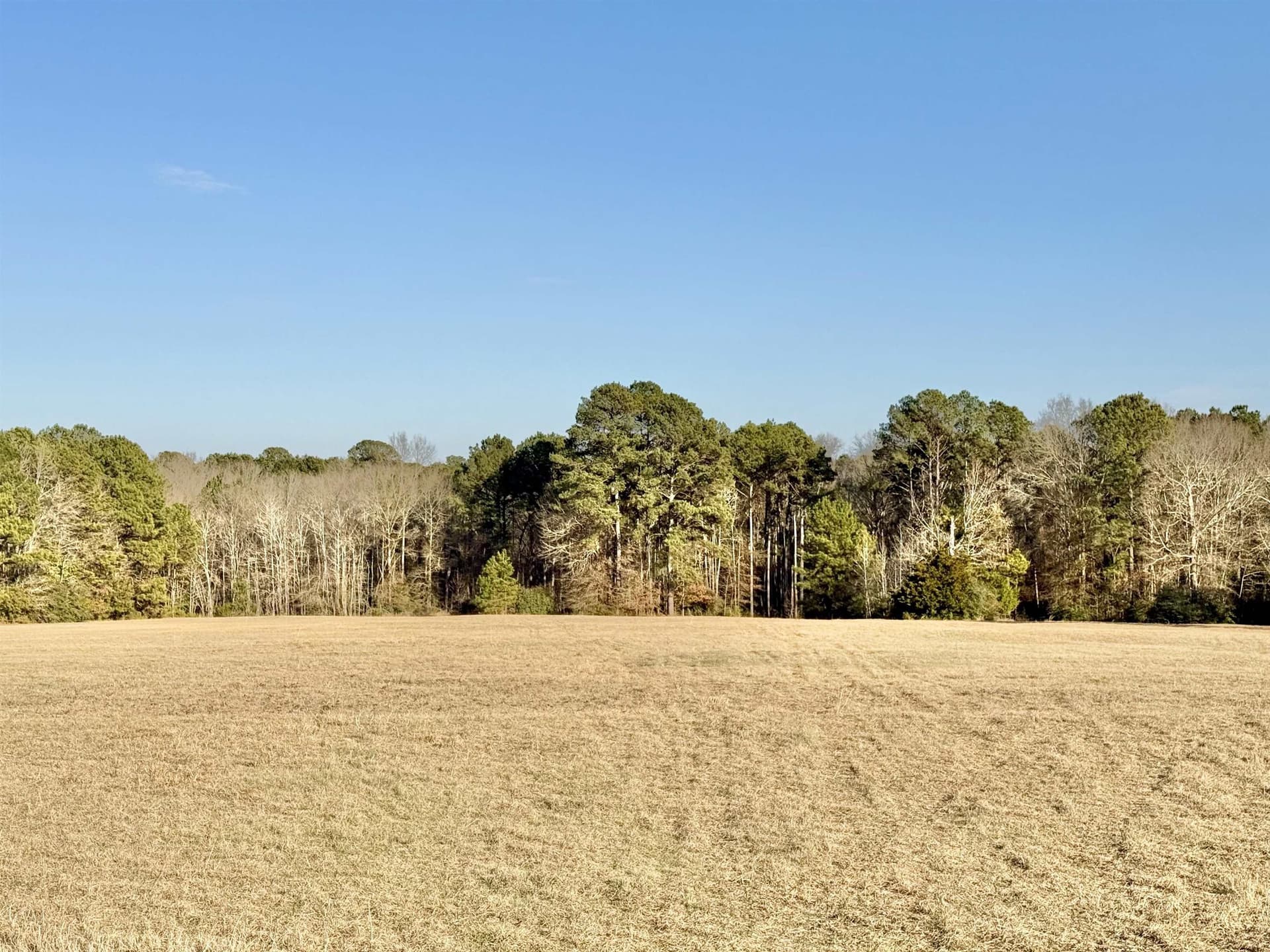 35.18 acres in Marion County - photo 5