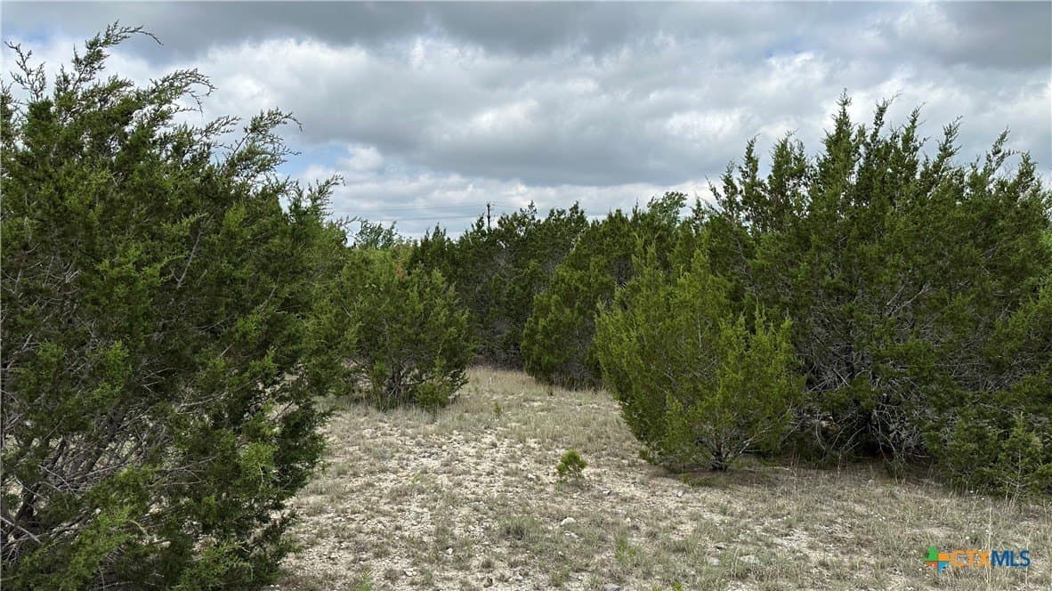 5.97 acres in Lampasas County - photo 5