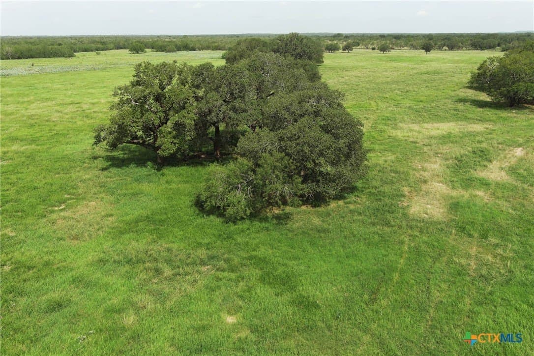 94.34 acres in Gonzales County - photo 33