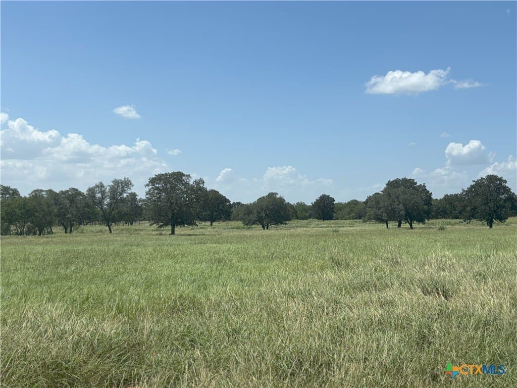 94.34 acres in Gonzales County - photo 3