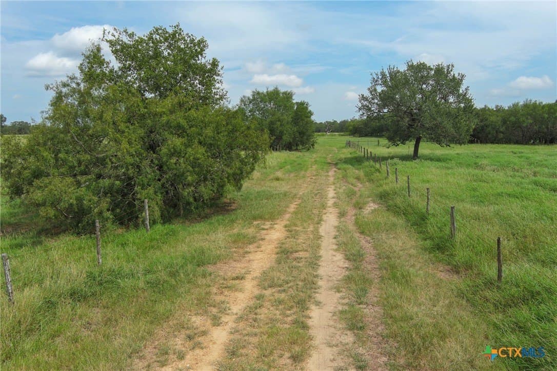 94.34 acres in Gonzales County - photo 5