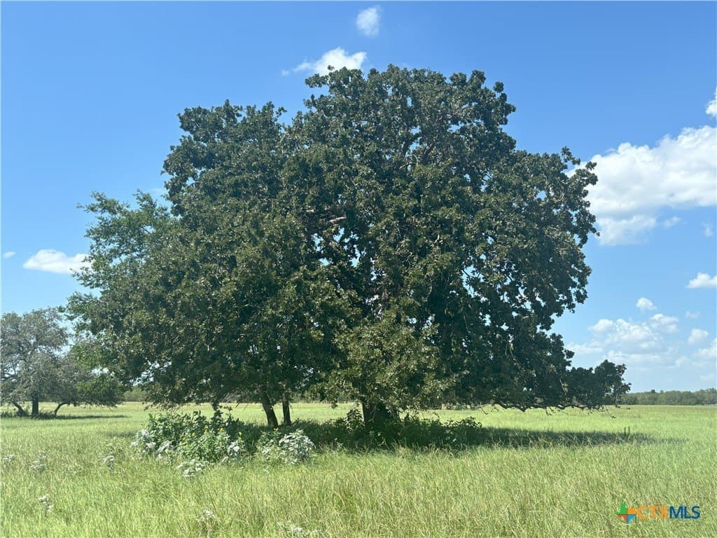 94.34 acres in Gonzales County - photo 24