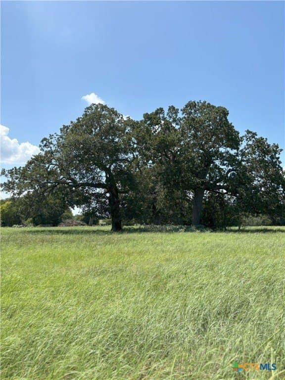 94.34 acres in Gonzales County - photo 4