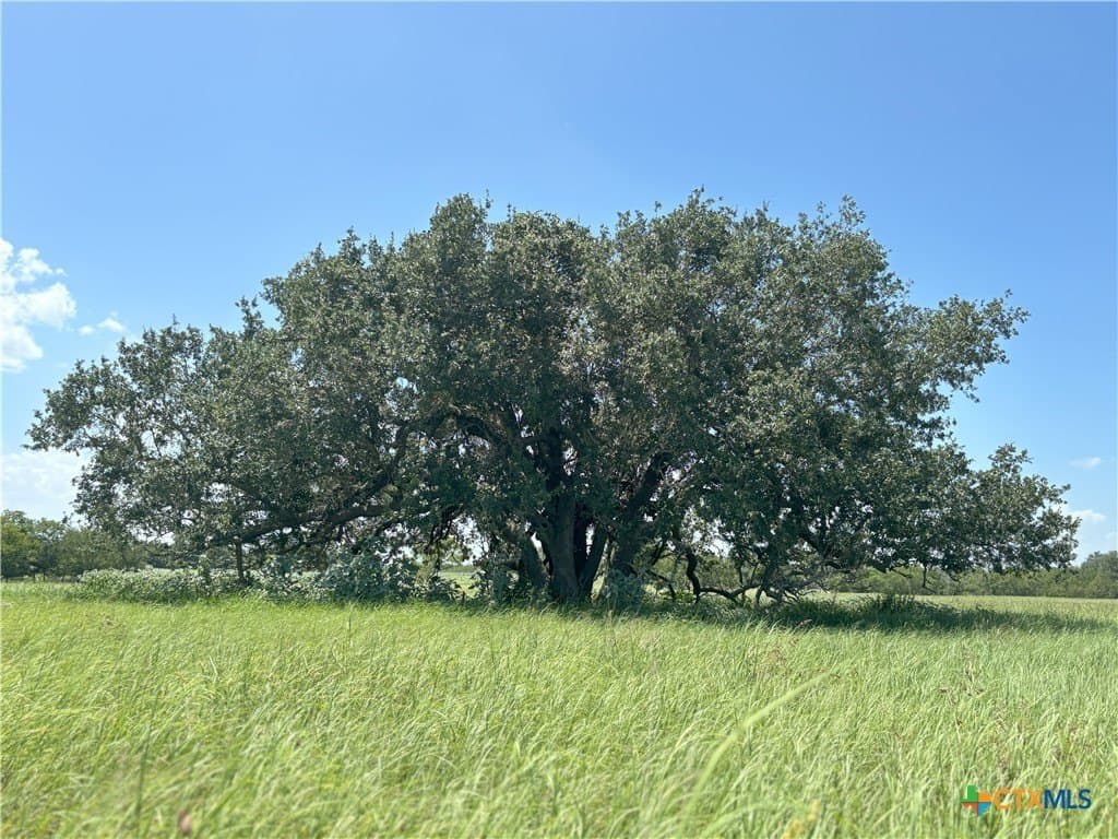 94.34 acres in Gonzales County - photo 2