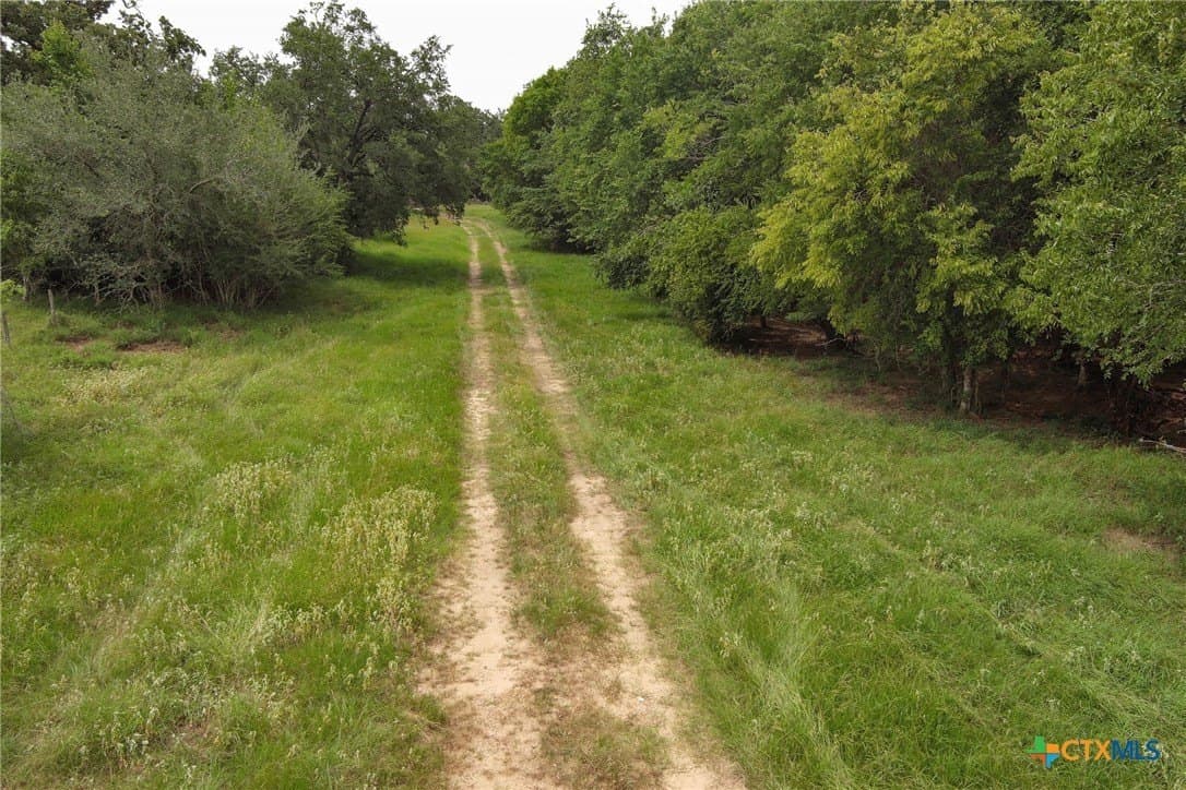 94.34 acres in Gonzales County - photo 14