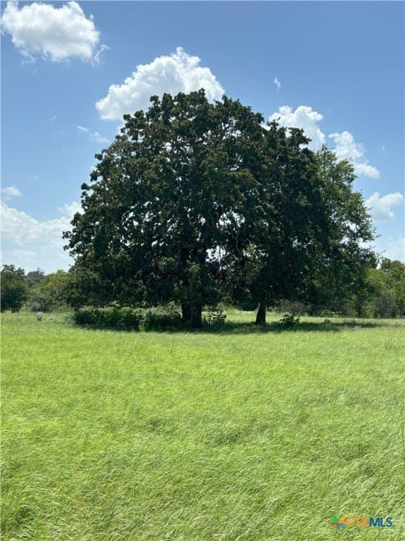 94.34 acres in Gonzales County - photo 25