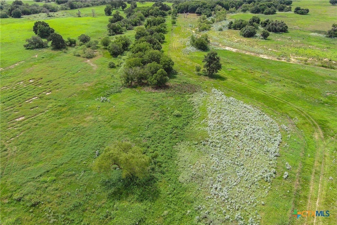 94.34 acres in Gonzales County - photo 34