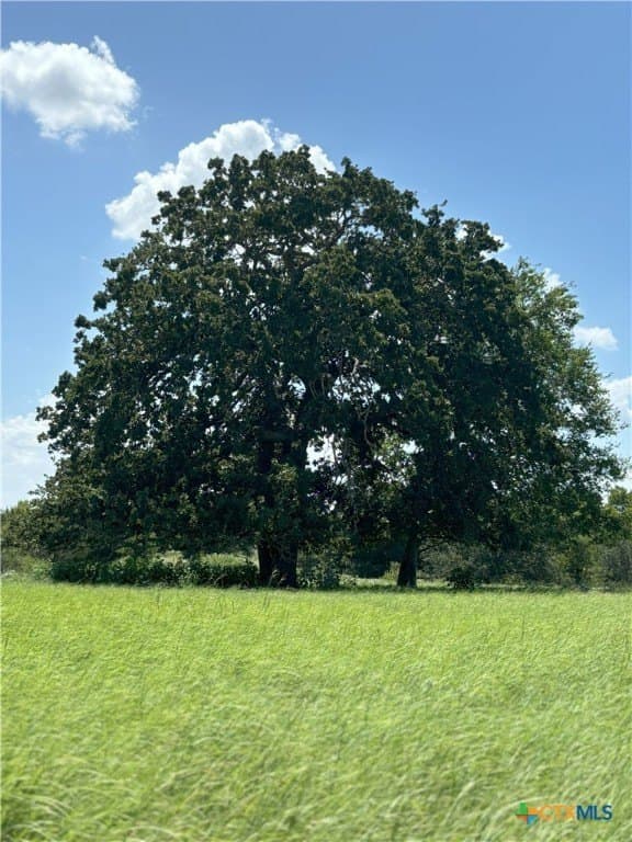 94.34 acres in Gonzales County - photo 23