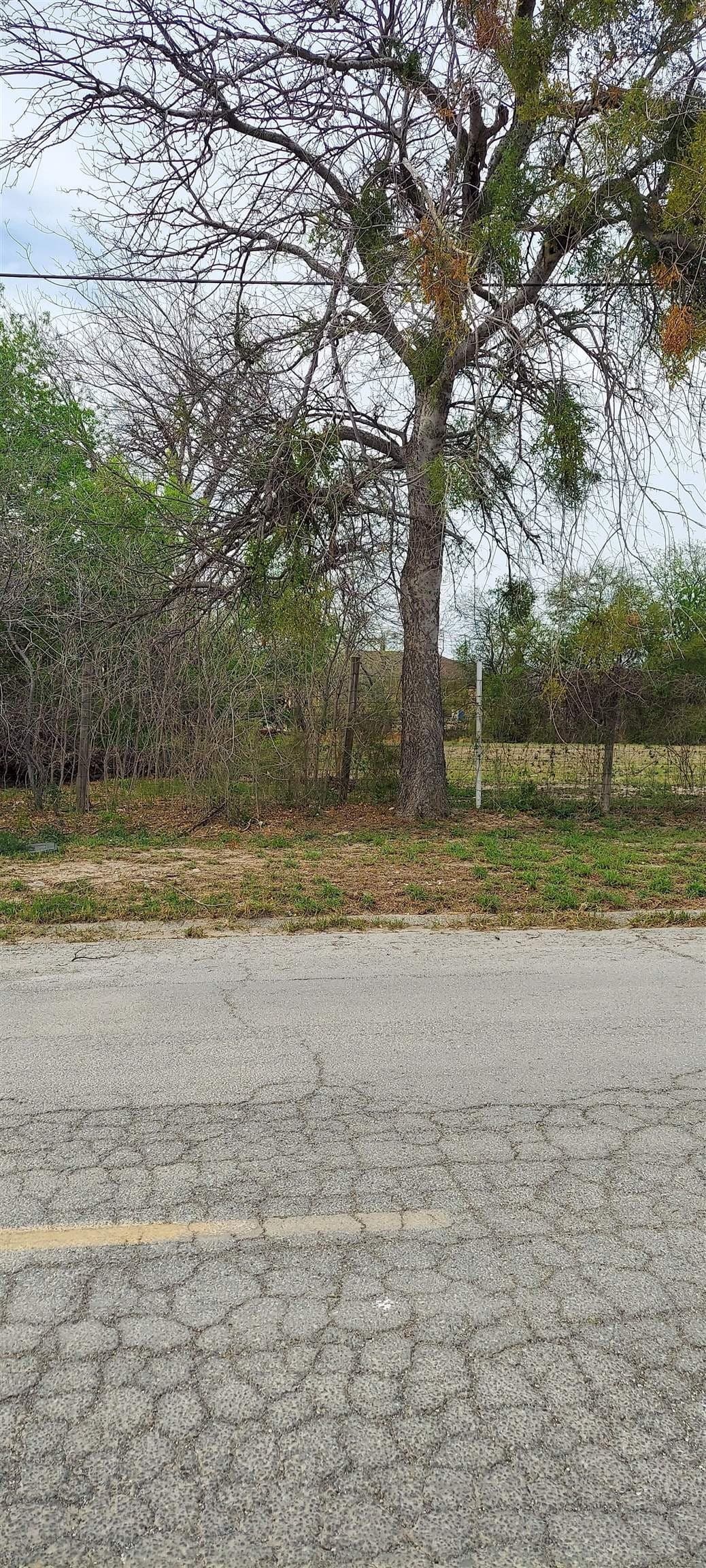 0.19 acres in Val Verde County - photo 2