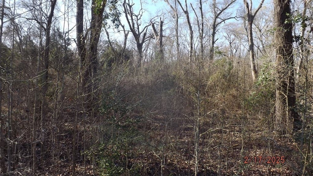 4.53 acres in FREESTONE County - photo 2