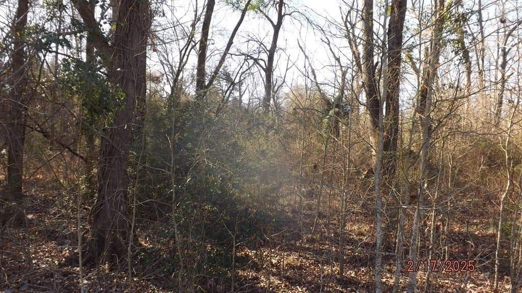 4.53 acres in FREESTONE County - photo 3