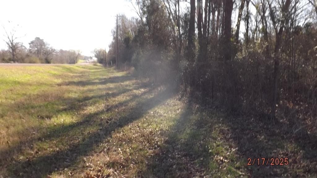 4.53 acres in FREESTONE County - photo 4